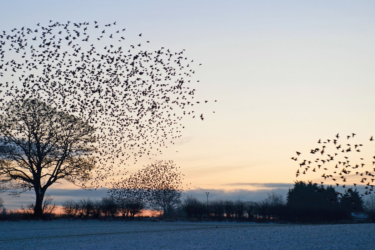 Estimating M&A Procurement Synergies for Added Value