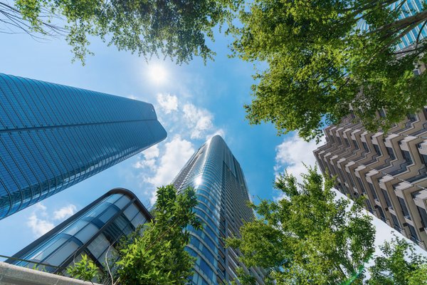 Optimizing cloud demand management: A strategic approach to cost and sustainability