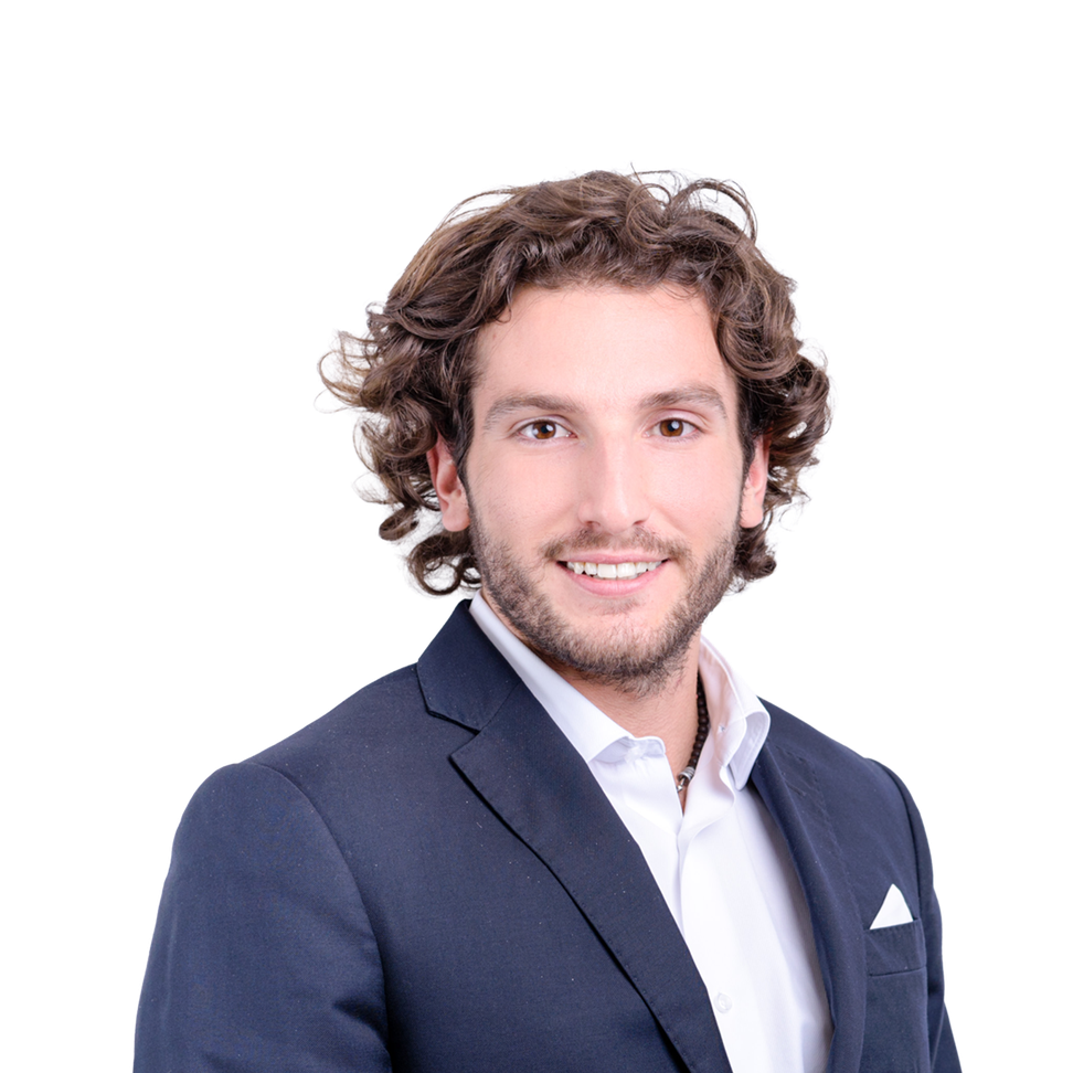 Andrea Zanaboni, Principal