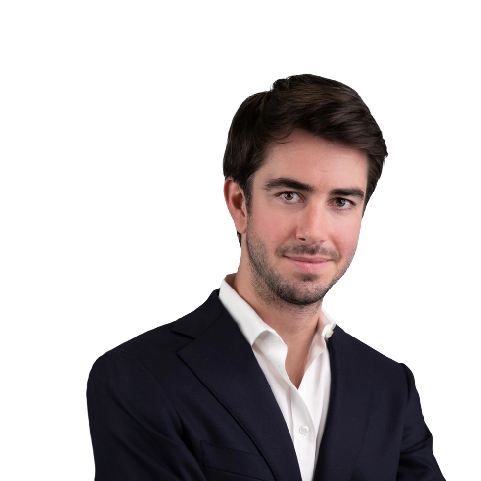 Alessandro Mach di Palmstein, Principal