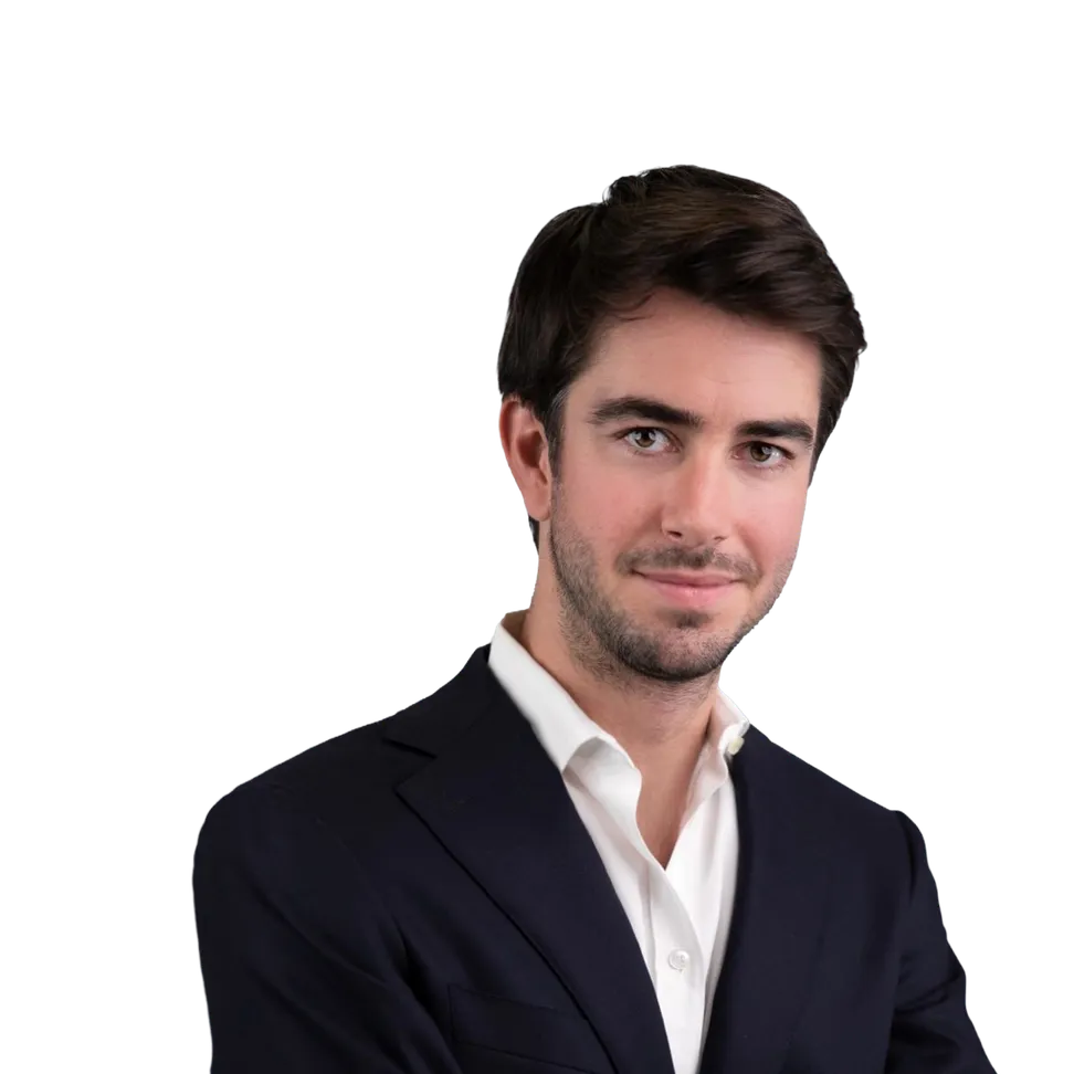 Alessandro Mach di Palmstein, Principal