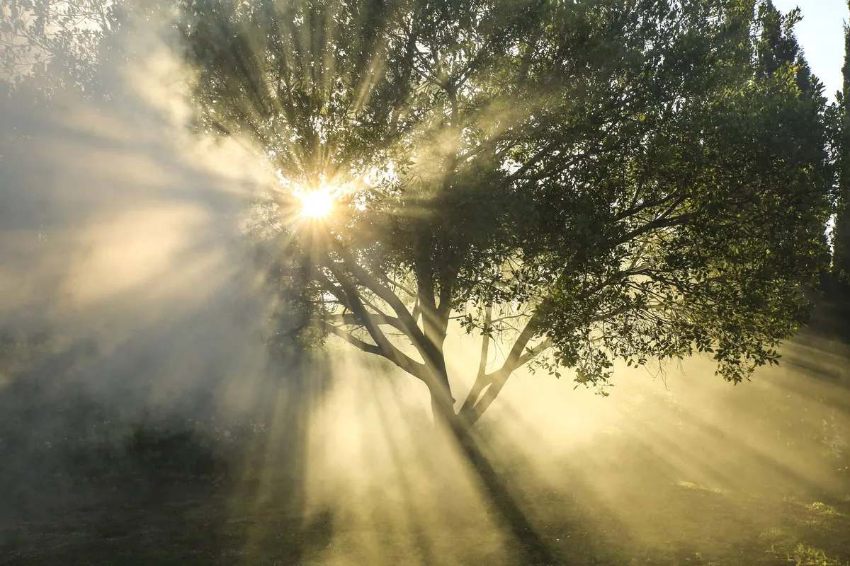 Why 2025 is the time for private equity firms to pull the procurement value lever